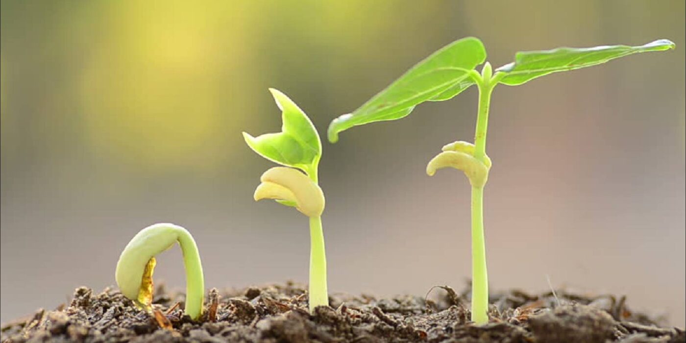 Homesteads - Experience Affordable Luxury