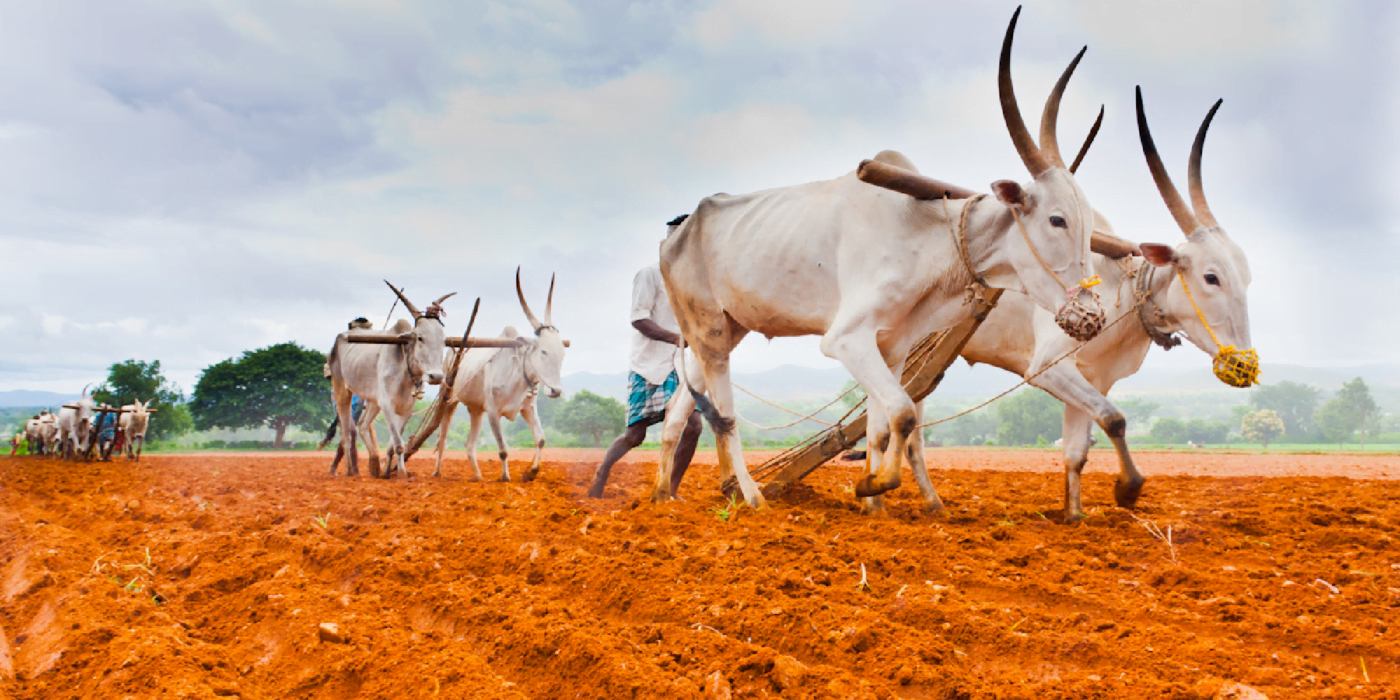 Sathwik Mantra - DTCP Approved Layout nr. Konda Pochamma Temple