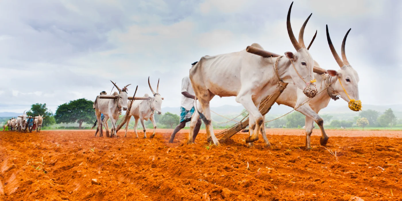 Sathwik Mantra - DTCP Approved Layout nr. Konda Pochamma Temple