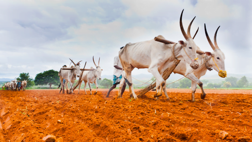 Sathwik Mantra - DTCP Approved Layout nr. Konda Pochamma Temple