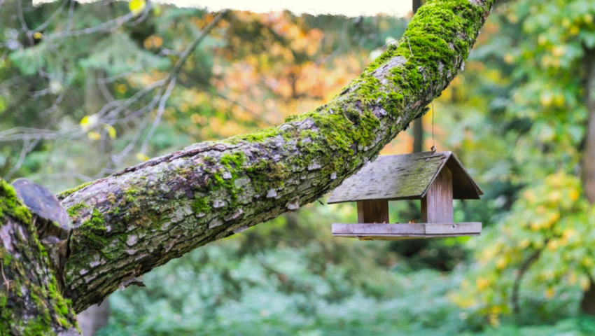 Alakananda RiverFront TS & AP’s 1st & ONLY Riverfront Gated Community of Villa .PLOTs. on the banks of KRISHNA River!